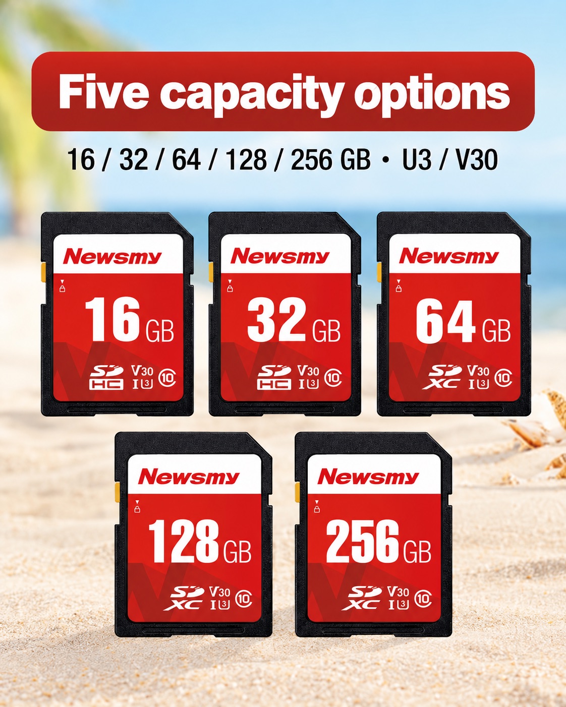 NEWSMY A10 — Five capacity options. 16 GB, 32 GB, 64 GB, 128 GB and 256 GB. Every listed capacity uses U3 / V30.