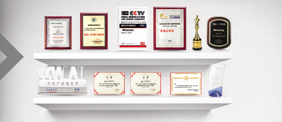 Historical awards and recognition displayed in NEWSMY’s official corporate profile